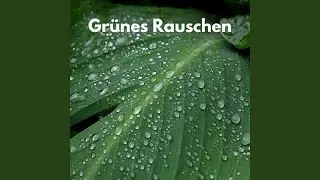Feines Rauschen