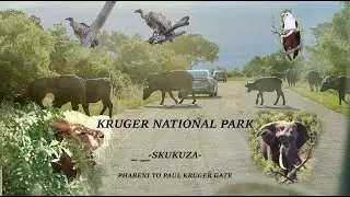 Taking My Grandparents to the Kruger For The First Time -Part 1