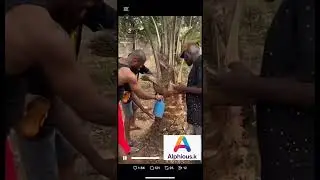 Mr p went to the village to have some natural atmosphere experience #fyp#mrp#trendingvideo#follow