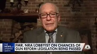 Former NRA lobbyist discusses gun reform legislation after several mass shootings