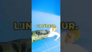 Que se passe-t-il si un serpent vous mange ? 🐍