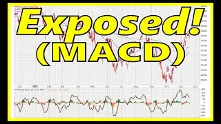🔴 MACD Timing Exposed! 💰 (Trading Strategy For Cryptos, Forex, Stocks, Commodities)