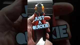 TRASH PICKING QUICKIE #trashpicker #freestuff #flipper