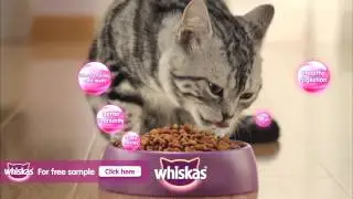 Whiskas Cat Food