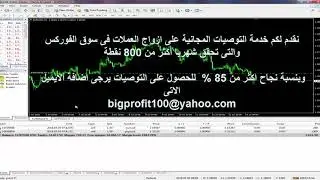 مؤشر بكفاءة الـ BrainTrading     مجاناً