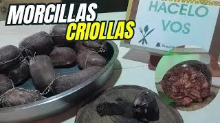 MORCILLAS CRIOLLAS/ PRIETAS || Hacelo Vos