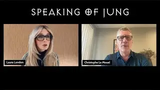 Speaking of Jung CLIP: MLVF 