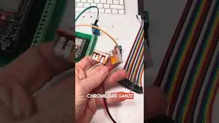 Led steuern mit ESP32 und Home Assistant
