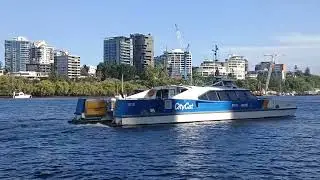 CityCat and KittyCat passing each other