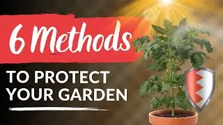 6 Ways to Protect Your Garden From Extreme Wind & Sun ☀️🌬️