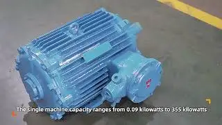 3phase Explosion-proof Motor Manufacturer #electricmotor #explosionproof