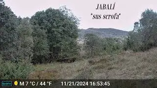 Fototrampeo Las Merindades, Burgos
