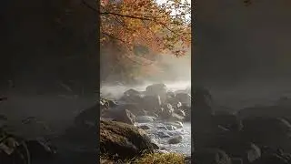 😍😍 #viral #nature #beauty #love #song #shorts #reels #video #short #trending #naturelovers #live