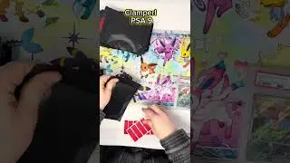 Mystery Pokemon Slab Grab Bag #1
