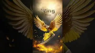 Wing Freestyle Football Shoes ( Best freestyle soccer shoes 2024 )