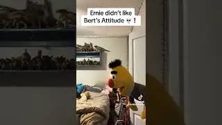Ernie Vs Bert #comdey #viral #tal_on #funny #characters #wow #gru #chiknnuggit #shorts #fyp #wow