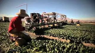 Coachella: Access to Healthy Food