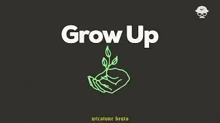 [フリートラック] “Grow Up” Boom Bap 90s Hip Hop Type Beat!! | Common Pete Rock DJ Premier