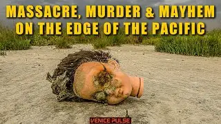 Массовое убийство и бесчинства на краю Тихого океана; Venice Pulse