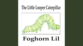 Little Looper Caterpillar