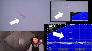 UNDERWATER Ice Fishing Manitoba Lake Trout | Clearwater Lake (Livescope)