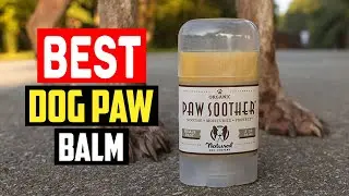 ✅Best dog paw balm in 2025
