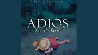 Adios Fue Un Gusto