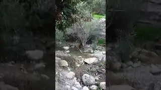 Avakas Gorge Nature Trail Cyprus Greece.