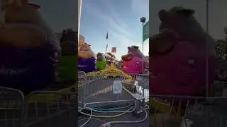 Spinny Bears Funtime Carnival