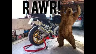 ⭐Aprilia je medo! (MadStane 9)