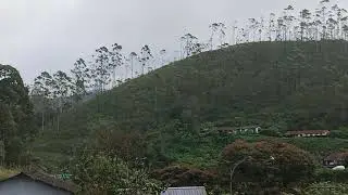 Room No. 401 - Bellmount Resort Munnar.