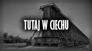 Shifu - Tutaj w Ciechu