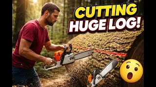 Cutting a Massive Log with a Chainsaw | Pro Wood Cutting🌲
