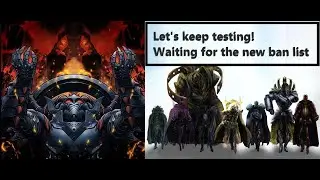 Monarchs keep testing!