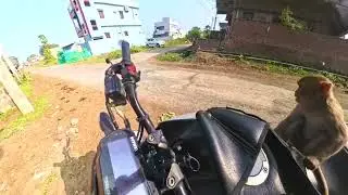 Kothulu monkeys funny full video 