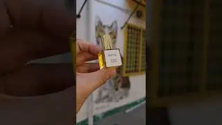 Santal Botanical Perfume Oil - Sandalwood + Iris + Black Tea + Amber