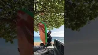 Bully board at Sandy&rsquo;s🤙
