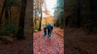 🌲Exploring trails of Devon with @thechillibiker 🏍️🌿 #DevonAdventures #WoodlandWalks #ExploreDevon