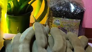 Ep70ชมมะขามหวานจากบ่าวสมพอน Laotai กำลังถ่ายทอดสด!29/1/2026
