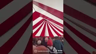 Brodstock highlights