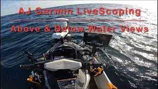 🔥Unbelievable Garmin LiveScoping Footage of Amber Jack&rsquo;s in Destin FL🔥#garmin #livescope #seadoo 