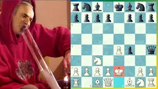 Kasparov Choca Karjakin com o Gambito do Rei Bongcloud