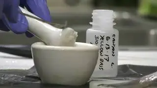 Fish Tissue - Bio Punch Sub-Sampling