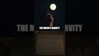 The Moon and Your Appetite Myth Debunked