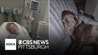 Woman who was shocked on Pittsburgh sidewalk with her dog recounts her experience