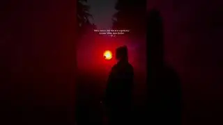 Light Cycles | Fever