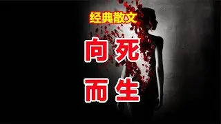 经典散文《有一种最好的生活方式，叫向死而生》