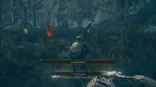 Moore Invasion: How to get Moore to invade & all rewards from Moore invader ELDEN RING