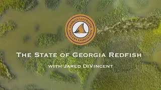 The State of Redfish in Georgia | Jared DiVincent Ep. 28