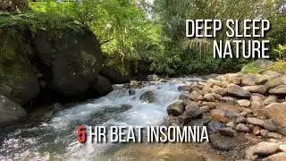 Deep Sleep Nature | Peaceful River Water Flow for Deep Sleep and Relaxation 5 Hours